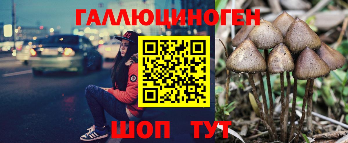 Галлюциногенные грибы ЛСД Сафоново