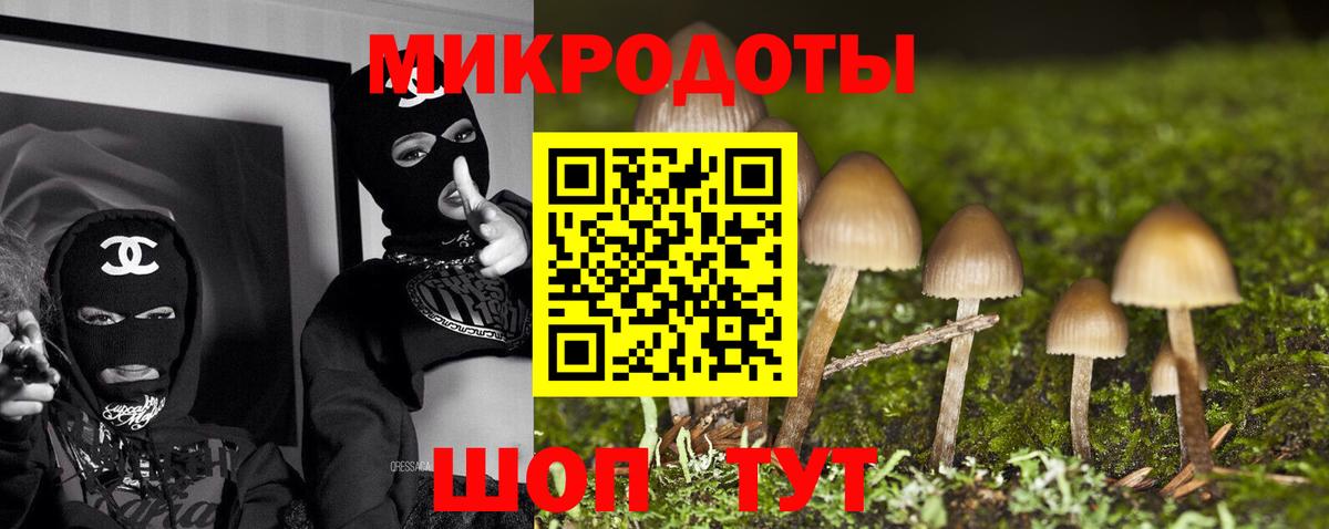 Сафоново  Псилоцибиновые грибы Cubensis  Вход с VPN 